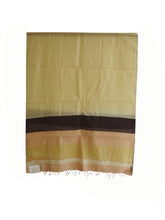 Load image into Gallery viewer, Earthy color palette with a gradient of beige color stole
